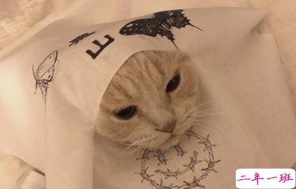 2018朋友圈说说搞笑配图 朋友圈必评论的搞笑说说13