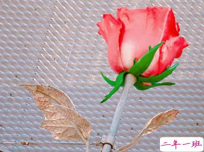 成长过程中学会的一些道理 简单但很有用的哲理句子配图14