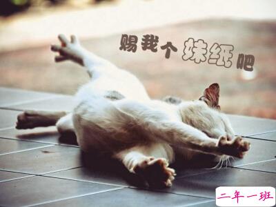 搞笑说说大全带图片6 搞笑说说大全带图片6