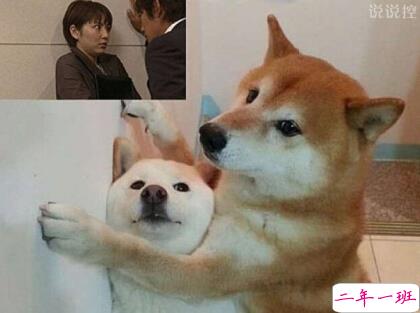 带图搞笑说说3 带图搞笑说说3