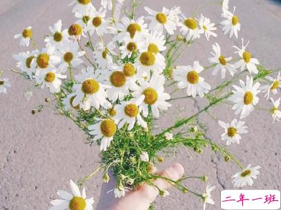 有内涵有深意的经典说说 使人受益终生的话带图片13