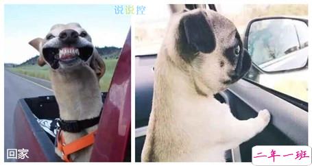 带图搞笑说说2 带图搞笑说说2