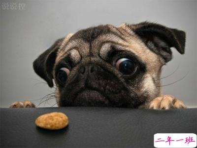 幽默说说带图4 幽默说说带图4