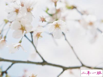 人生励志哲理说说大全带图片 走心的句子经典2019最新12