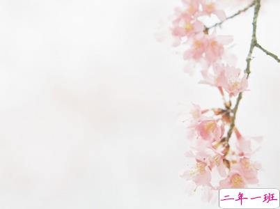 人生励志哲理说说大全带图片 走心的句子经典2019最新14