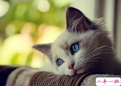 朋友圈搞笑说说配图1 朋友圈搞笑说说配图1