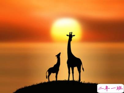 2019复活节祝福语英文大全带翻译配图 复活节快乐说说致所有人5