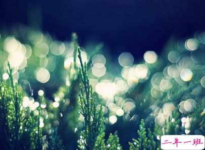 2019复活节祝福语英文大全带翻译配图 复活节快乐说说致所有人7