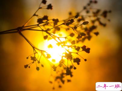 2019复活节祝福语英文大全带翻译配图 复活节快乐说说致所有人9