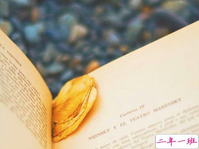 2019复活节祝福语英文大全带翻译配图 复活节快乐说说致所有人10