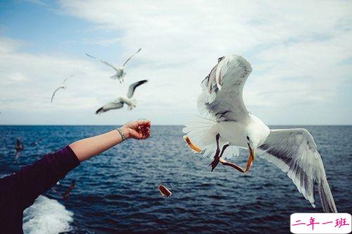 最暖心的一句话说说一秒被融化 那些温暖人的经典说说带图片7