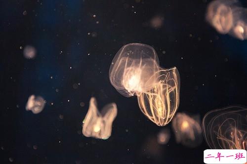 抖音人生感悟经典说说带图片 很精辟的人生感悟一句话15