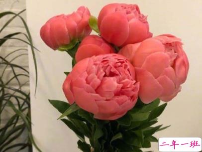 阳光励志说说致自己配图 理想高于天越苦越向前2