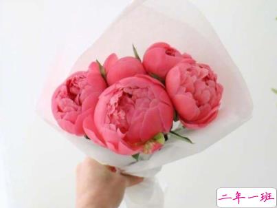 阳光励志说说致自己配图 理想高于天越苦越向前12