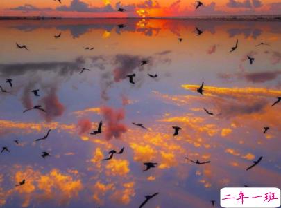 阳光励志说说致自己配图 理想高于天越苦越向前13