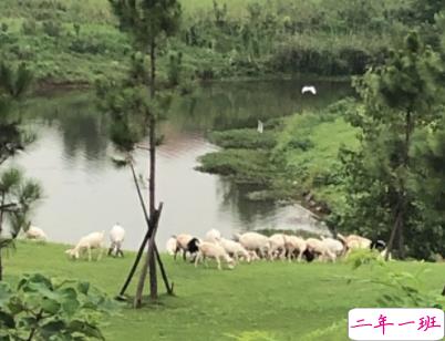 阳光励志说说致自己配图 理想高于天越苦越向前14