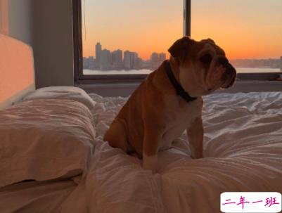 阳光励志说说致自己配图 理想高于天越苦越向前15