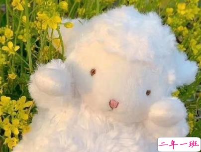 送给高考生的励志文案 好好学习励志说说带图片4