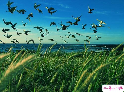 鼓舞人心的经典说说带图片 朋友圈点赞超多的经典说说2