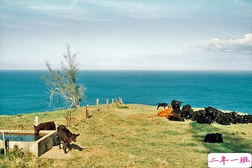 鼓舞人心的经典说说带图片 朋友圈点赞超多的经典说说4