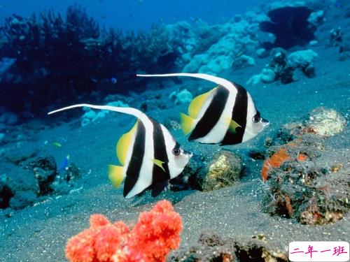 鼓舞人心的经典说说带图片 朋友圈点赞超多的经典说说9