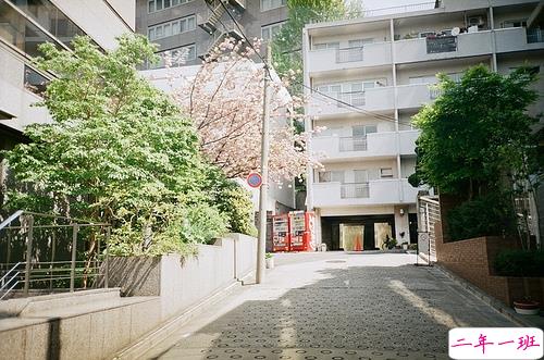 鼓舞人心的经典说说带图片 朋友圈点赞超多的经典说说15