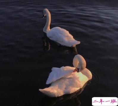 2020剩60天的励志说说带图片 2020最后60天写给自己的话2