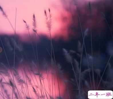 2020剩60天的励志说说带图片 2020最后60天写给自己的话8