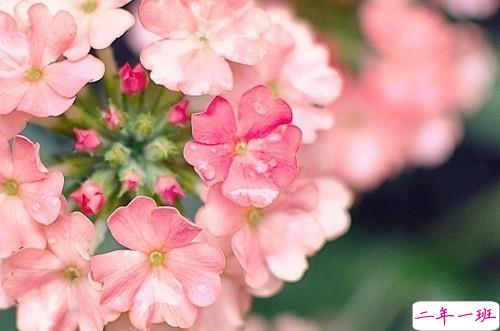 特别经典人生的说说值得收藏带图片 朋友圈吸引人的经典说说9