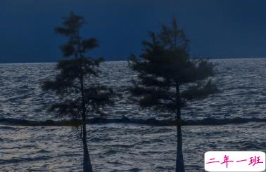 赋有哲理的15条精选句子 生未百年死不孤独9