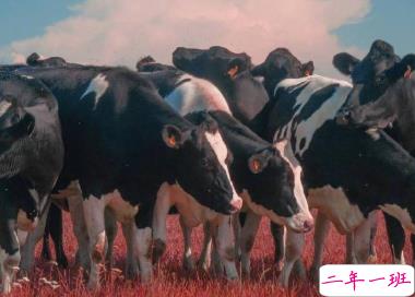 赋有哲理的15条精选句子 生未百年死不孤独13