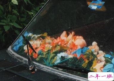 赋有哲理的15条精选句子 生未百年死不孤独14