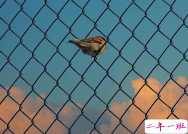 赋有哲理的15条精选句子 生未百年死不孤独15