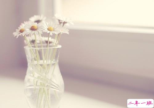 暖心的早安经典说说带图片 有内涵的一句话朋友圈激励语3