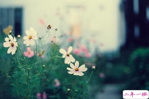 暖心的早安经典说说带图片 有内涵的一句话朋友圈激励语5