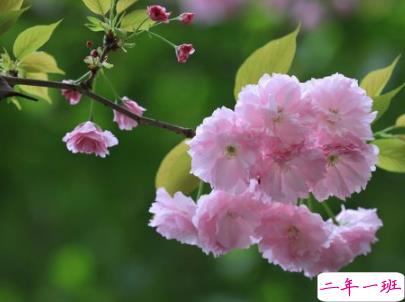 2019七月加油心情说说配图 7月新的开始励志自己的说说5