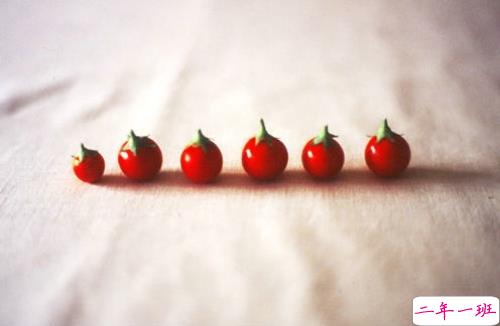 简单一句话早安说说很励志 愿你的世界永远是晴天2