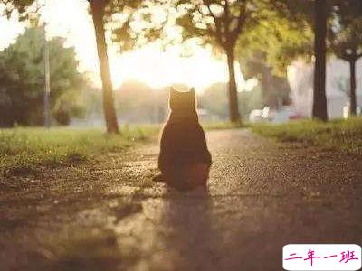 励志句子致自己带图片 满满的温暖的心灵鸡汤句子5