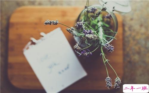 简单一句话早安说说很励志 愿你的世界永远是晴天14