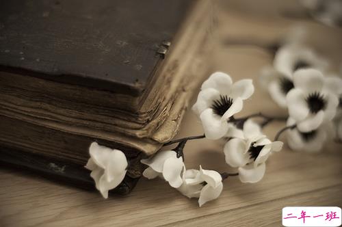 关于人生感悟很经典的哲理说说带图片 从生活中明白的一些感悟说说4