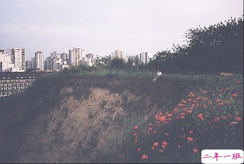 2019微信乐观励志的句子带图片 经典励志说说心情短语11