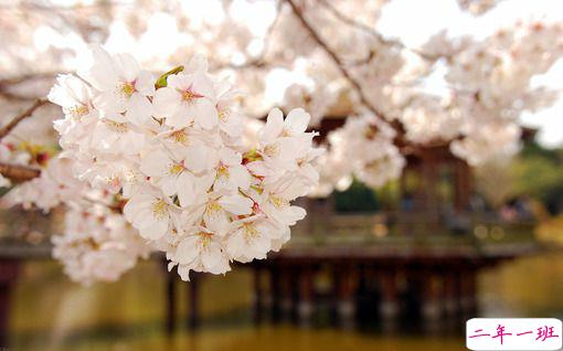 2018正能量的奋斗经典说说配图 简单霸气的励志说说201813