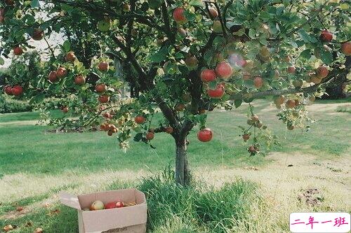 经典的英文哲理说说带图片 小清新和文字控喜欢的英文说说10