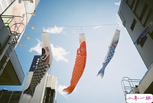 15条值得学习的励志说说带图片 阳光简短的励志说说配图3