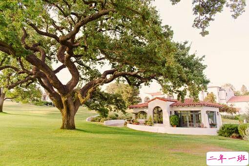 优美有诗意的唯美文艺英文说说带图片2