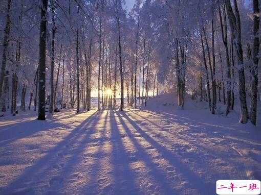 优美有诗意的唯美文艺英文说说带图片4