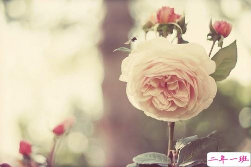 15条值得学习的励志说说带图片 阳光简短的励志说说配图10