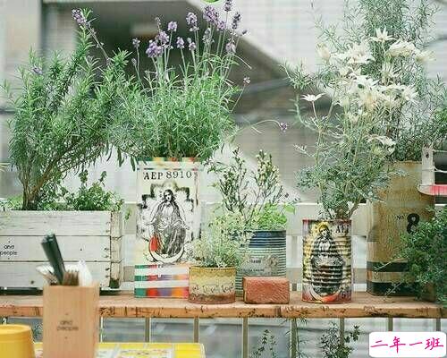 优美有诗意的唯美文艺英文说说带图片13