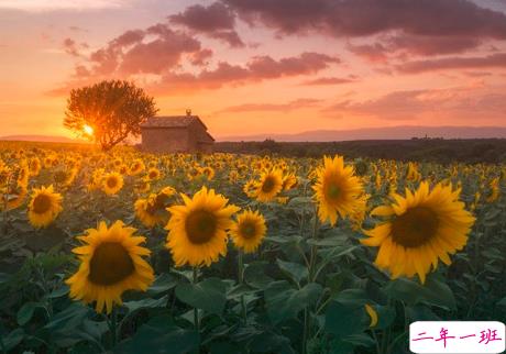 很扎心但很有道理的励志说说带图片 激励人心的很现实的一句话说说5
