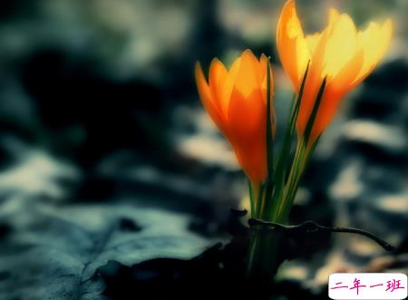 微信朋友圈治愈系早安心语说说 温暖小清新早安说说大全2